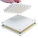100 Holes Capsule Holding Tray for #0 Gelatin & Veg Caps Powder Block Included