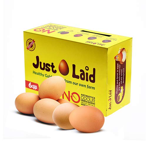 Just Laid Fresh Brown Antibiotic Free Eggs Pack of 6