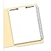 Avery Big Tab Dividers for 2-Prong Classification Folders, White, Side Tabs, Set of 8 Big Tab Dividers (13161)
