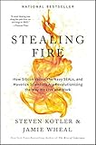 Stealing Fire: How Silicon Valley, the Navy SEALs, and Maverick Scientists Are Revolutionizing the Way We Live and Work cover