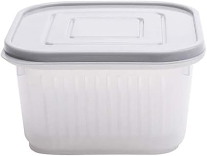 UANDM Caja de Almacenamiento Caja de Cebolla Verde picada ...