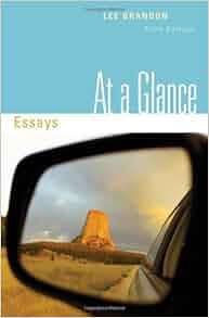 Essays at a glance fifth edition by lee brandon 04 image