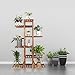 Wisfor Wooden Plant Stand for Indoor Plants, 6 Tiered Tall Plant Shelf Stand for Balcony Garden Flower Display Holder Stand
