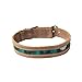 Rustic Mayan Dog Collar Handmade by Hide & Drink :: Tropical Lime