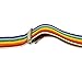 CoverYourHair Rainbow Suspenders