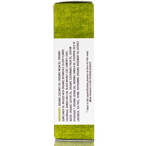 Organic Natural Shampoo & Soap Bar, Neem & Tee Trea 2X Pack, Chagrin