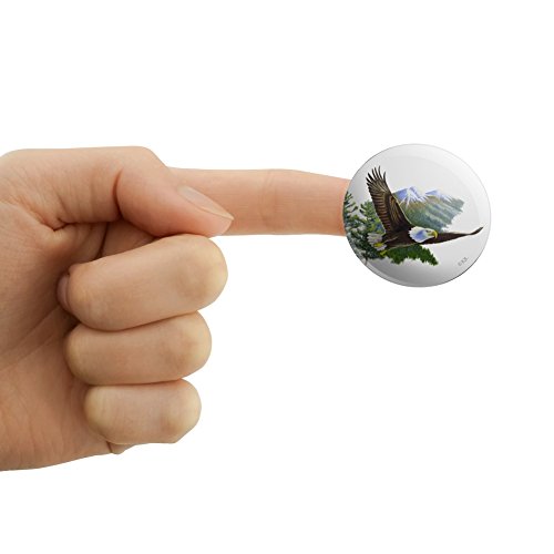Bald Eagle Flying Over the Mountains Scenic 1.5" Puffy Bubble Dome Scrapbooking Crafting Sticker Set