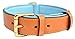 Soft Touch Collars Leather Padded Dog Collar, Large Tan with Teal Padding, Real Genuine Leather, 24