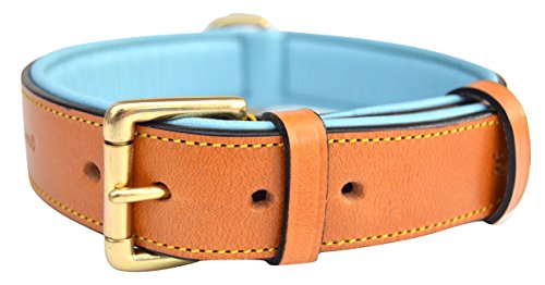 soft touch leather dog collars