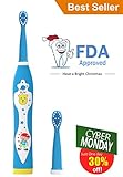 OJV Professional Kids Electric Sonic Rechargeable Toothbrush with 2 Dental Care Modes 4 Songs and 2 Replaceable Brush Heads (Blue-Sonic Toothbrush)