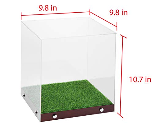 image for JACKCUBE DESIGN - Soccer Ball Display Case - Clear storage for balls, 