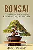 Bonsai: A Beginner’s Guide on How to Cultivate