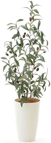 Amazon 人工観葉植物 観葉植物 フェイクグリーン 80 85cm 人工 シンプル オフィス おしゃれ インテリア 大型 室内 鉢 人工観葉樹 空気清浄 消臭 抗菌 光触媒 自然な樹形を再現 ハンドメイド品 ワイルド オリーブ 高さ80 85cm 白丸ポット ヤシの繊維 No3510