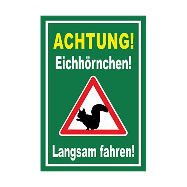 Melis-Folienwerkstatt Schild EichhÃ¶rnchen langsam Fahren - 45x30cm - BohrlÃ¶cher - 3mm Hartschaum â 20 VAR S00359-160-E