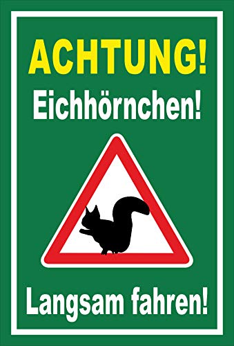 Melis-Folienwerkstatt Schild Eichhörnchen langsam Fahren - 45x30cm - Bohrlöcher - 3mm Hartschaum â 20 VAR S00359-160-E
