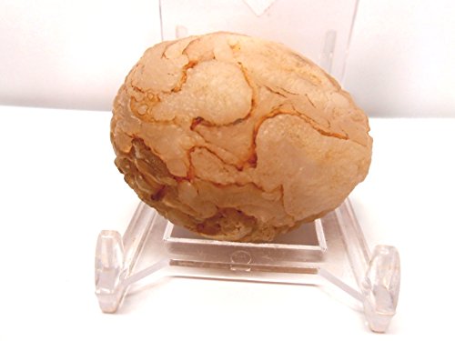 Rock Tumbler Gem Refill Kit New Mexico White Chalcedony Rough 8 oz