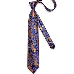 DiBanGu Silk Paisley Ties for Men Woven Necktie and