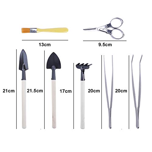 Hanhan 10 Pcs Gardening Bonsai Tools Set Succulent Garden Hand Tool Kit with Shovels, Rakes, Fork, Tweezers, Bud & Leaf Scissor, Cleaning Brush