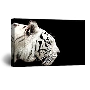 A White Tiger on Black Background