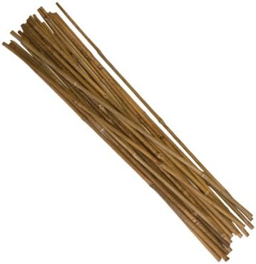 pic Bamboo Sticks For Plant Support Amazon 2 bamboo stakes