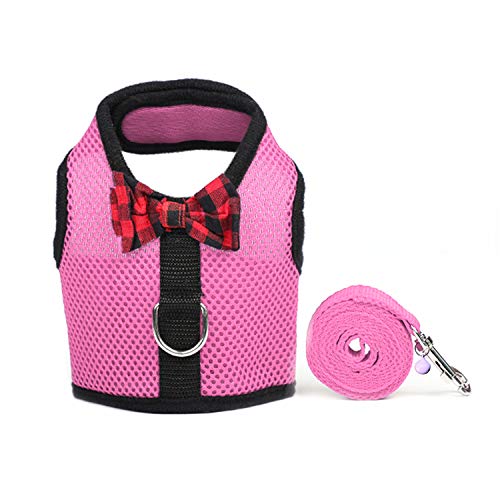 2 RYPET+Guinea+Pig+Harness+Leash