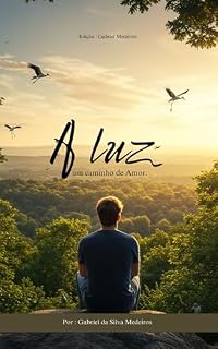 Livro A Luz : Um caminho de amor