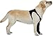 Suitical Recovery Sleeve for Dogs | Front Leg Protection After Surgery | Dog Leg Sleeve to Stop Licking | Machine Washable | Chest Circumference 31.5”- 40.9” | Sleeve Length 16.1” | XL | Single Sleeve
