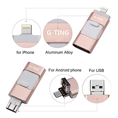 USB Flash Drives for iPhone 64 GB Pen-Drive Memory Storage, G-TING Jump Drive Lightning Memory Stick External Storage, Memory Expansion for Apple iOS Android Computers (Pink)