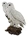 Things2Die4 Pair of Snow Owls on a Branch Statue