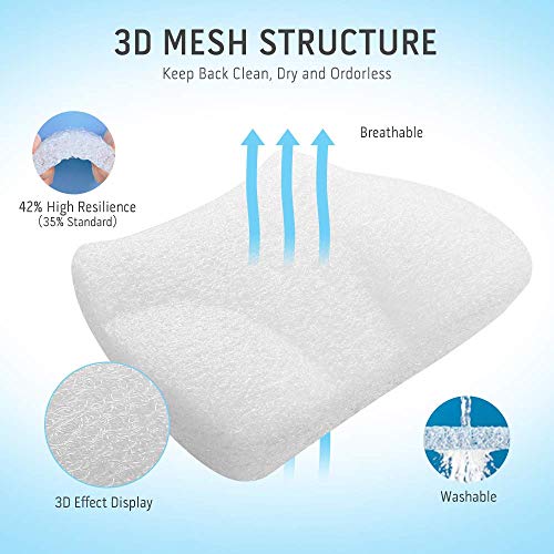 Lumbar Support Cushion, with Innovative 3D Polymer, Breathable,Washable,Ergonomic Lumbar Support Pillow for Lower Back Pain Relief- Ideal for Car Travel Backrest Sofa Wheelchair
