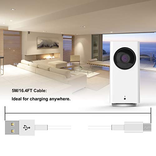 2 Extension+WyzeCam+NestCam+Charging+Security