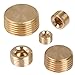 QLOUNI 25Pcs Brass Pipe Plugs Set, NPT Plug 1/8