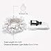 LE Globe String Lights, Plug in Twinkle Light, 33ft 100 LEDs, RGBY Multicolor, 8 Modes, Indoor Outdoor Decorative Fairy Lights for Party, Patio, Gazebo, Room, Festival Decor and More