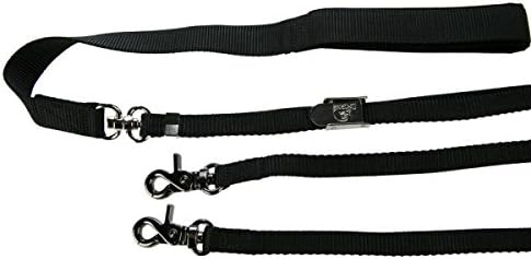 top paw double take leash
