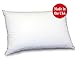 Custom Loft YOUTH PILLOW (16