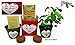 TickleMe Plant Gift Kit You Tickle My Heart - Grow The Unique House Plant That Closes its Leaves When Tickled or Kissed! Complete Grow Kit. Adult Plant can Even Produce Sparking Pink Flowers!