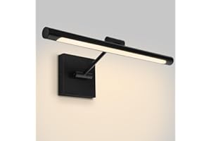 DAKASON 16'' LED Picture Light with Swing Arm, 3000K 10W Hardwired Dimmable Art Light for Painting Display Wall, Dartboard, P