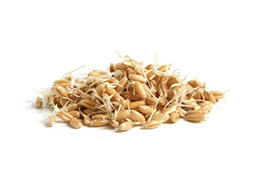 RAW Wheat Germ Oil Virgin Unfiltered Unrefined Cold Pressed NON GMO High OMEGAS Healthy Essential Fatty Acids Anti- Aging Wheatgerm Oil