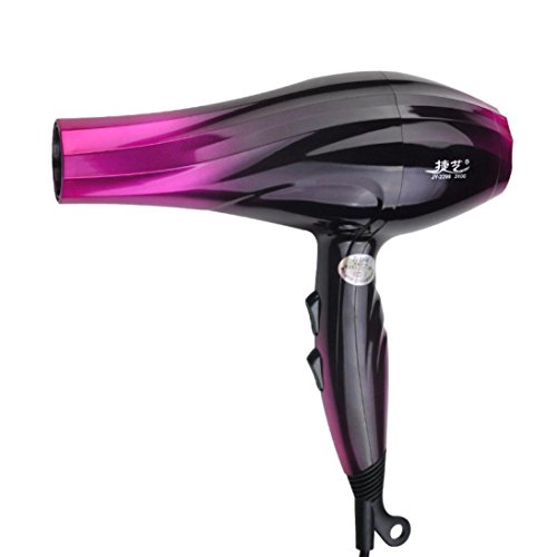 AutumnFall Powerful Salon Quality Ionic Ceramic Blow Dryer - Achieve Fast Professional Results - 2 Speeds - 2 Heat Settings (purple)