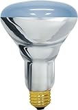 GE Lighting Reveal Halogen 75414 65-Watt, 485-Lumen R30 Floodlight Bulb with Medium Base, 1-Pack