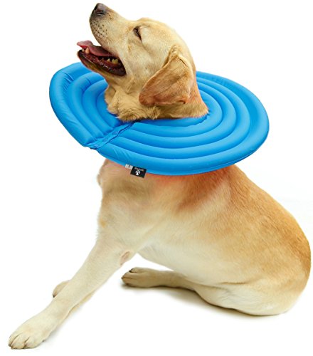 UsefulThingy Dog Recovery Collar - Soft Comfy Cone E-Collar After Surgery, Anti-Bite/Lick - for Cats Too, Quicker Healing - 5 Sizes, 2 Colors (XXL, Blue)