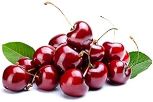 Bristol Farms, Cherries Red Organic, 16 Ounce