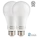 TORCHSTAR 100W Equivalent 15.5W Dimmable LED A21 Bulb, 1600Lm, 2700K Soft White, E26 Medium Base, Omnidirectional, Pack of 2
