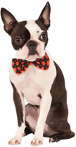 Rubies Costume Company Halloween Argyle Pet Bowtie