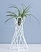 Pack of 2 Tabletop Metal Air Plant Holders Air Plant Stands Air Plant Containers Air Plant Racks Tillandsia Stands Tillandsia Holders Tillandsia Racks (White)thumb 1