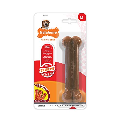 Nylabone Dura Chew Flavored Bone Dog Chew Toy, Wolf/Medium - Bacon Bone