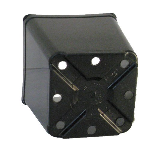 5.5" Square Nursery Pot, 2.3 quart, pack of 48