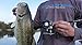 Cadence CB8 Baitcasting Reels, 6.7oz Ultra Lightweight Casting Reels,20 LB Carbon Fiber Drag Baitcasters,Super Smooth 9+1 BB,Stronger Aluminum Body Durable Baitcast Fishing Reel Low Profile High Value