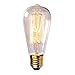 Newhouse Lighting 60-Watt Vintage Edison Filament Light Bulb, Medium (E26) Standard Base E27, 120V, 230 Lumens