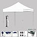 Eurmax Basic 10x10 EZ Pop Up Canopy Tent Entry Commercial Level+Roller bag